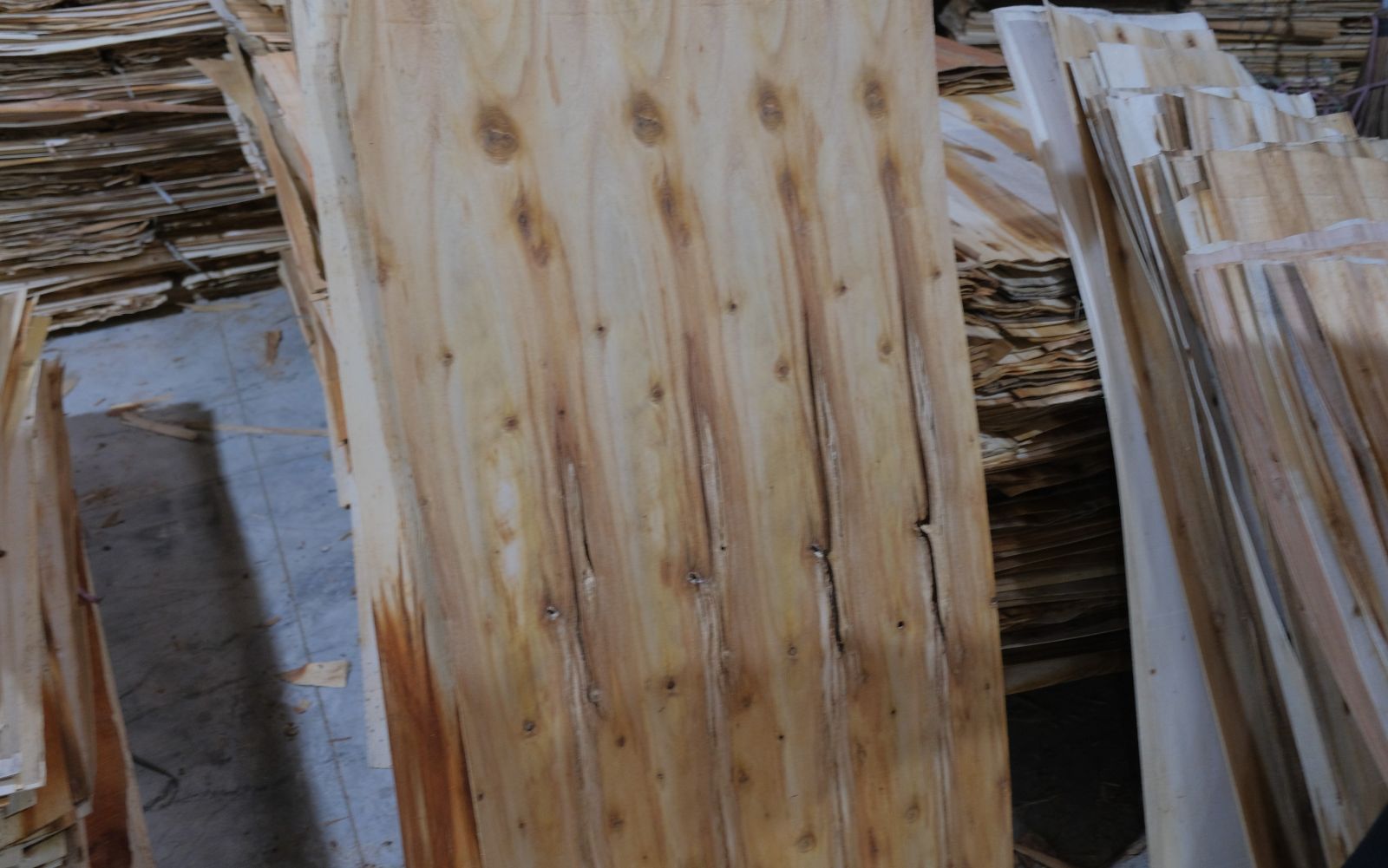 WHAT IS VENEER PLYWOOD? AND APPLICATION IN PRODUCING PLYWOOD